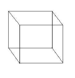 Necker Cube